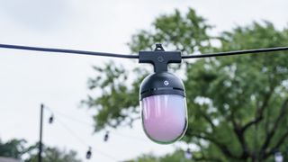 A set of Govee Outdoor Chromatic String Lights hanging in a backyard during the day