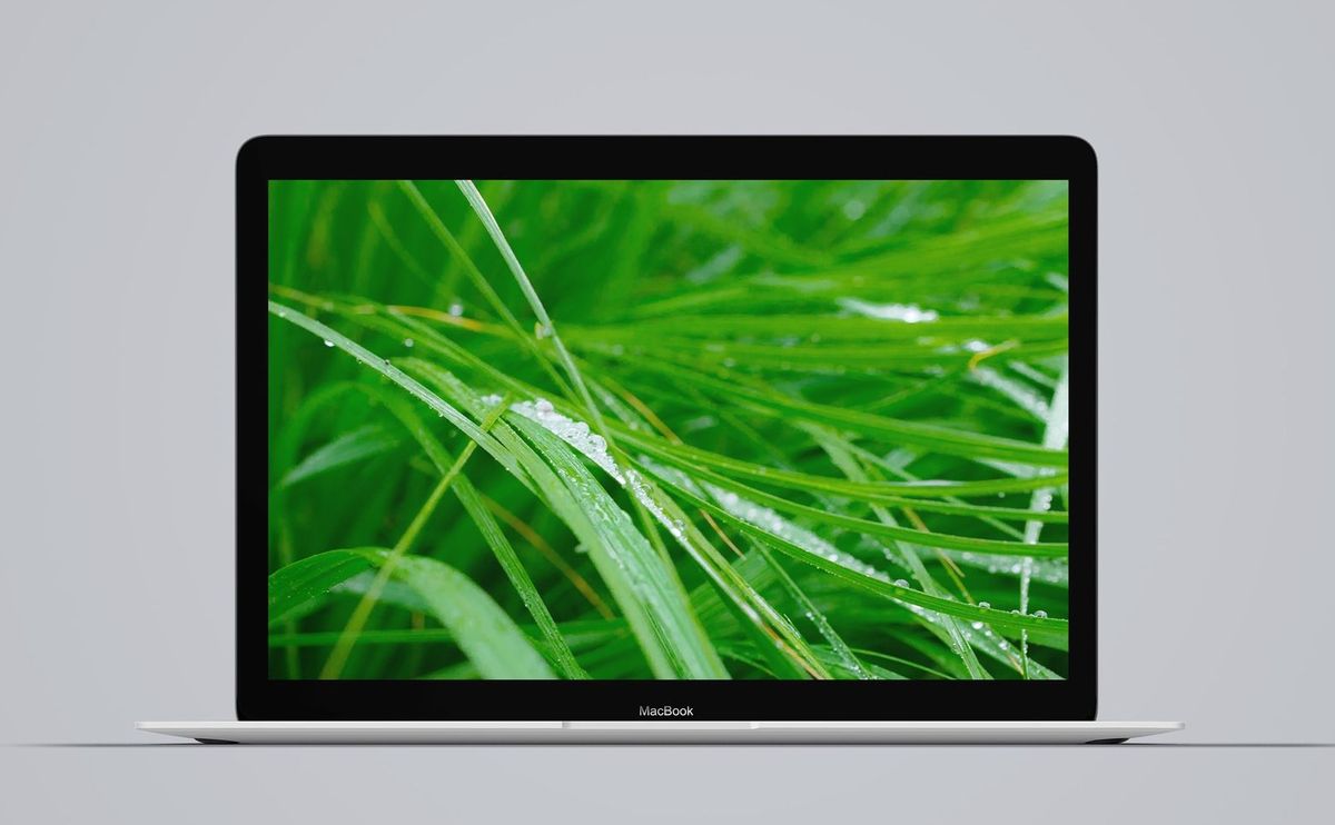 Grass Wallpaper On Mac