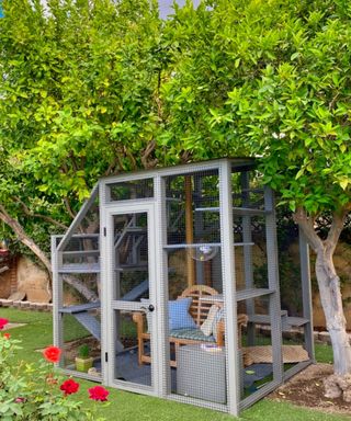 A catio under a tree in a backyard