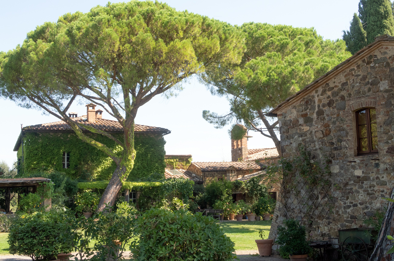 Brunello di Montalcino Riserva 2016