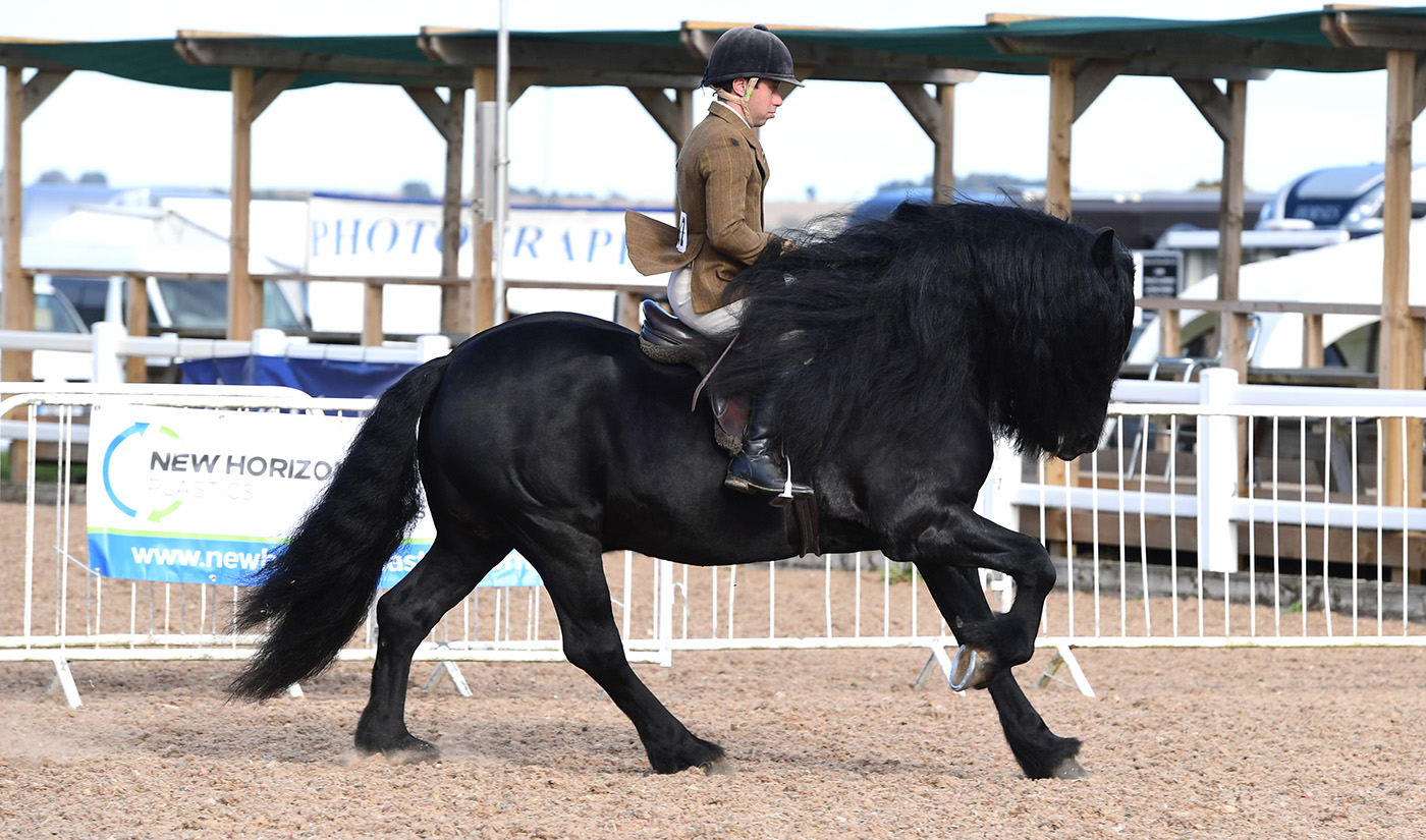 Heritage Show 16.10.2266670