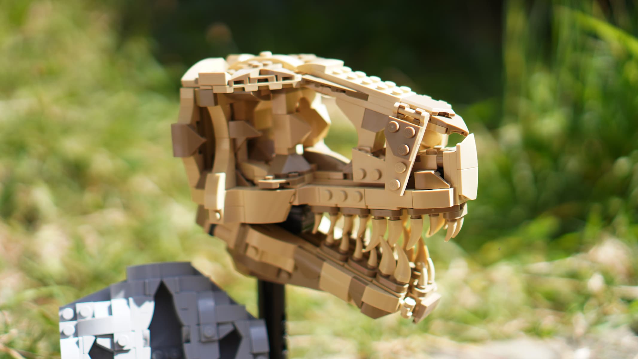 Lego Dinosaur Fossils: T. rex Skull