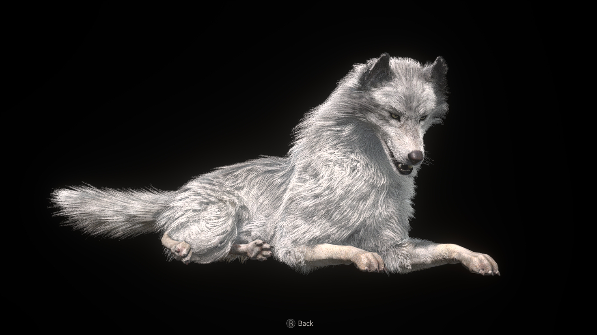 Dog model poses in Resident Evil 4 for Nintendo Switch 2