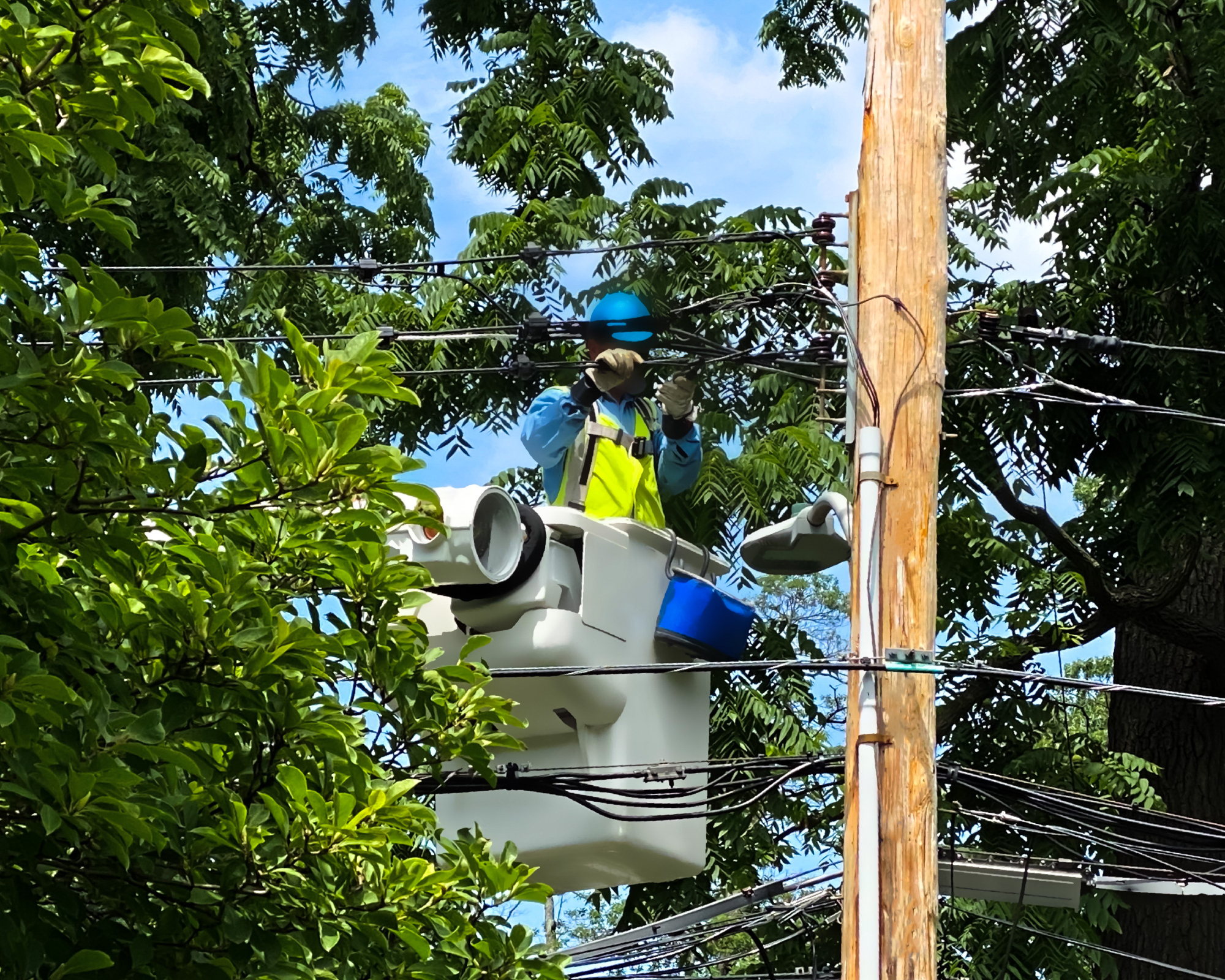 man in a cherrypicker working on power line in middle of trees