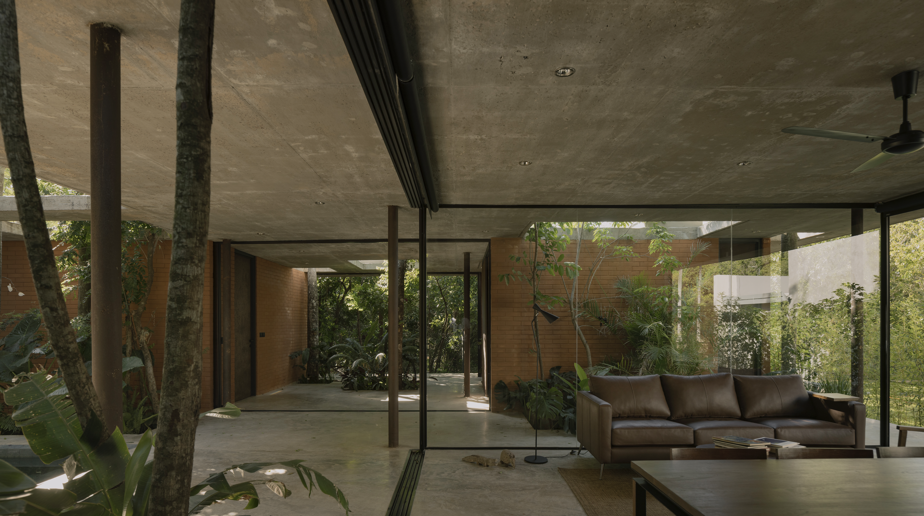 A Forest in the House, Paraguay, by Equipo de Arquitectura