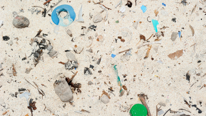 What are microplastics