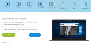 TeamViewer review