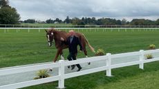 Maryland 5 Star first trot-up: Leslie Law and Voltaire De Tre&rsquo;