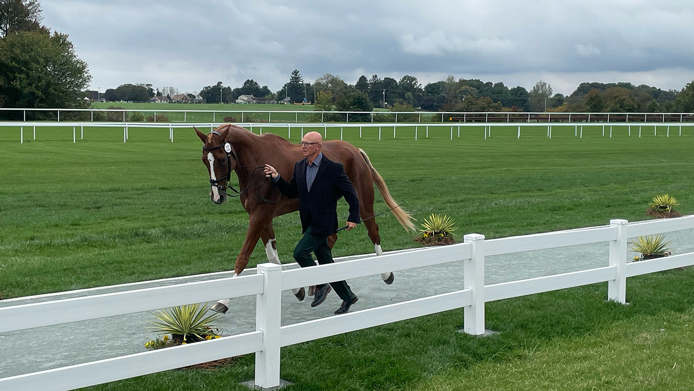 Maryland 5 Star first trot-up: Leslie Law and Voltaire De Tre&amp;rsquo;