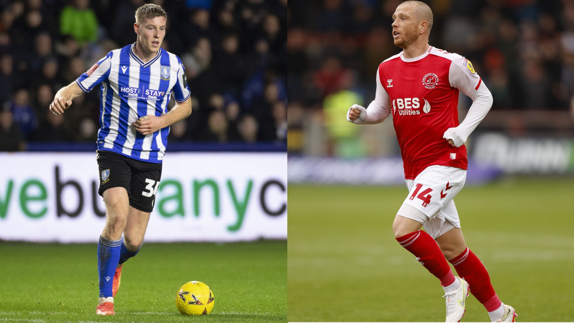 Sheffield Wednesday vs Fleetwood Town live stream how to watch FA Cup