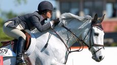 Rider jumping grey horse wearing a running martingale