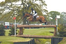 Michael Jung and La Biosthetique Sam FBW on the Badminton 2017 cross-country