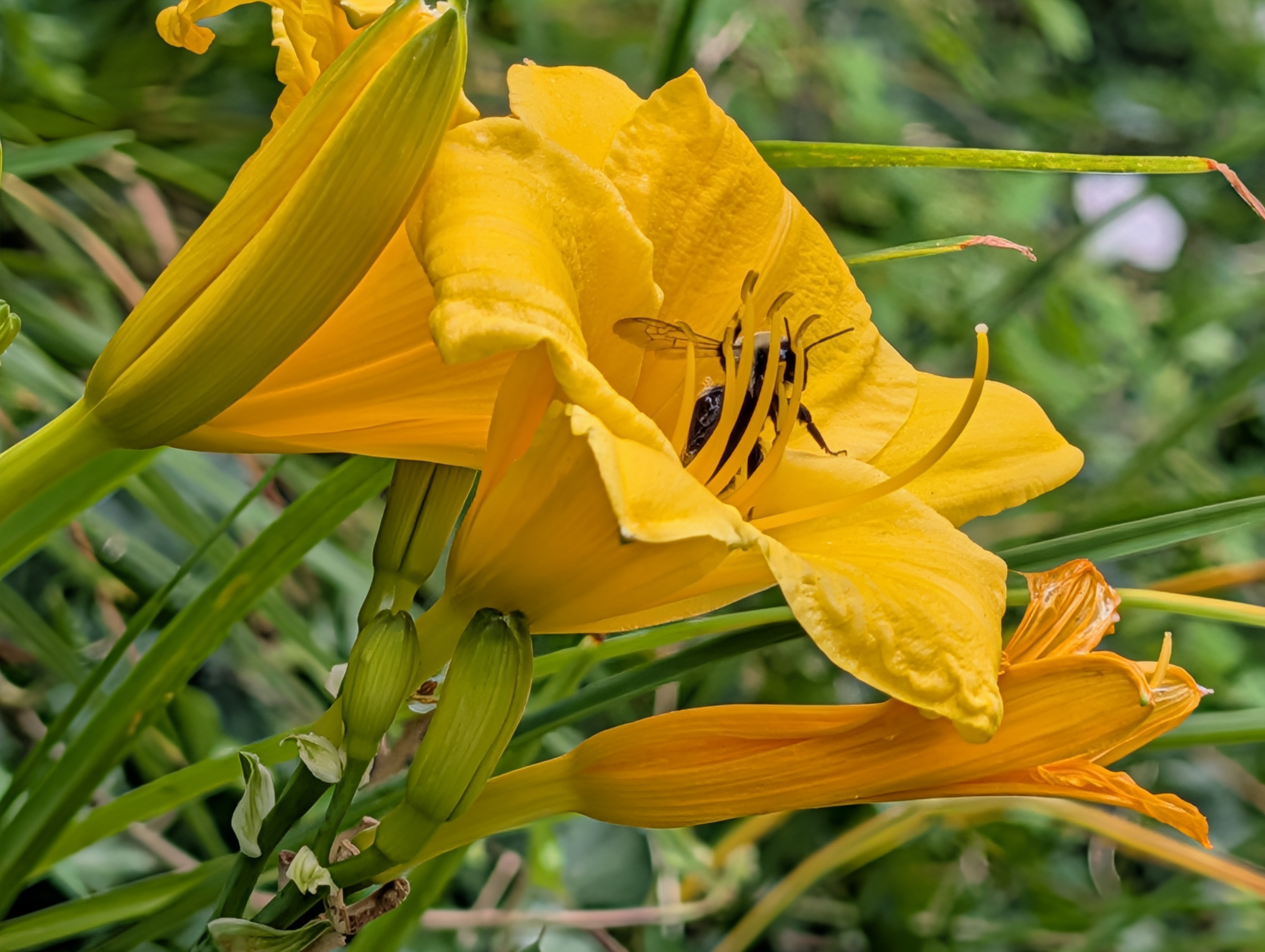 Camera image samples taken with the Google Pixel 10 Pro XL