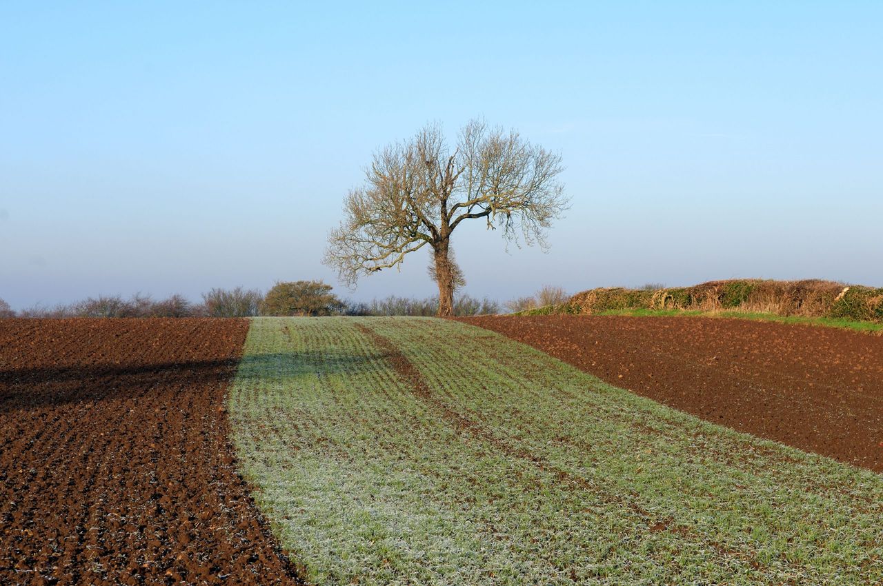 Laxton Village, Nottinghamshire.