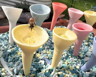 Bee drinking from pastel bee cups