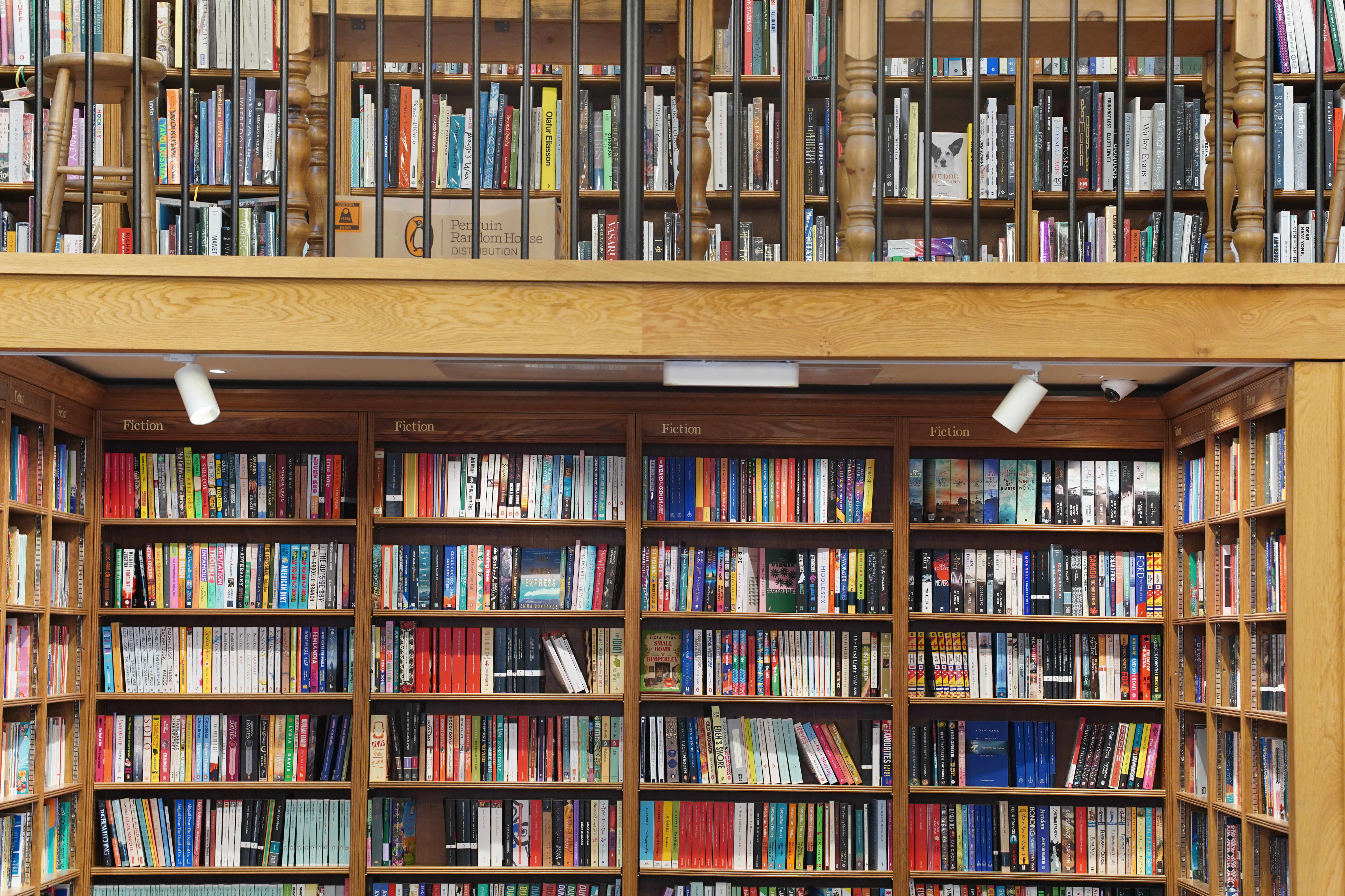 Meike AF 85mm f/1.8 SE II sample image