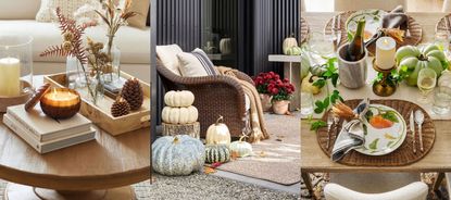 Best Pottery Barn Thanksgiving decorations. Decorated coffee table, pumpkins outdoors, Thanksgiving dining table