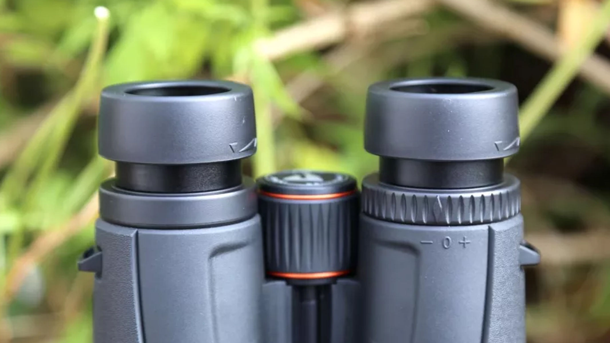 Review photo of the Celestron TrailSeeker 8x42