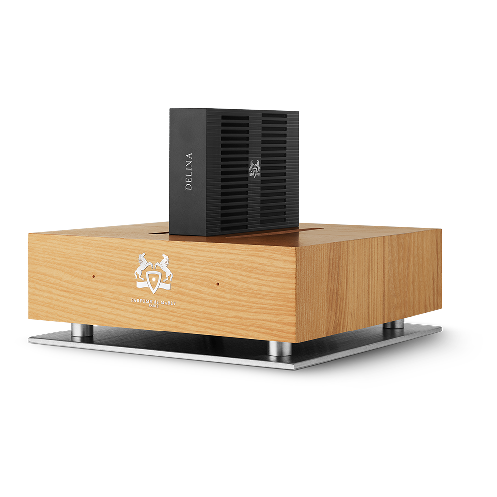 Home Diffuser