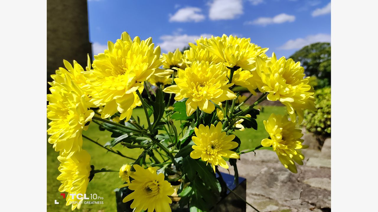 TCL 10 Pro camera sample