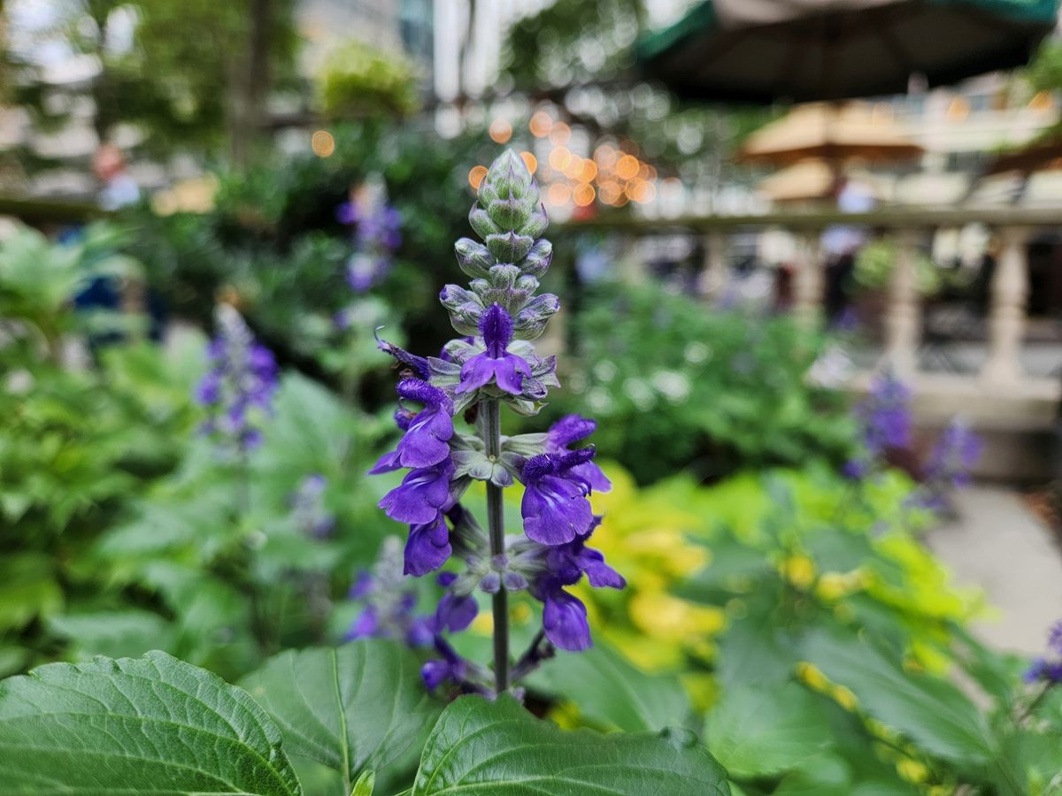 Samsung Galaxy Z Fold 4 closeup sample.