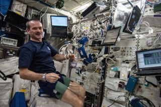 Commander Chris Hadfield of the Canadian Space Agency undergoes a blood pressure test in space. Even astronauts on short missions see significant drops in blood pressure, heart rate and bone density thanks to the reduced force of gravity.
