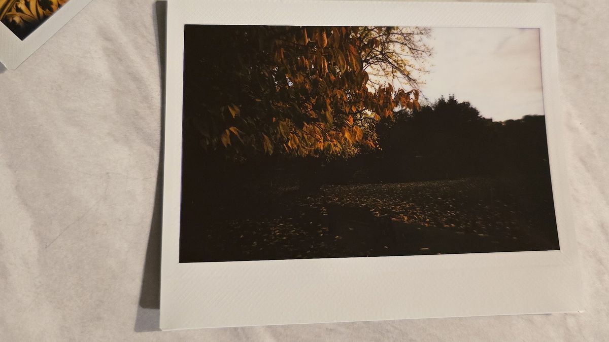 Lomo&rsquo;Instant Wide Glass sample images