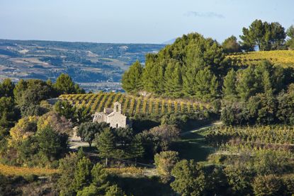 Gigondas-IR_05364_A5-1.jpg