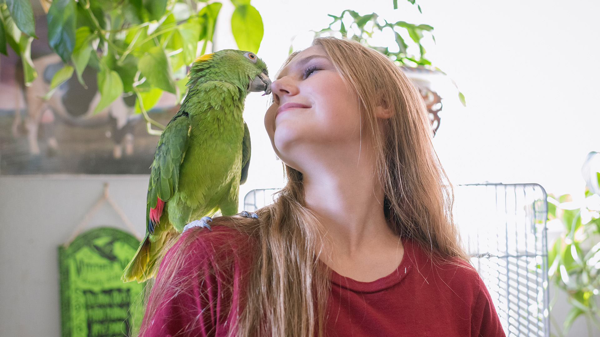 Lady with parrot on her shoulder