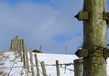 snow2006_3.jpg