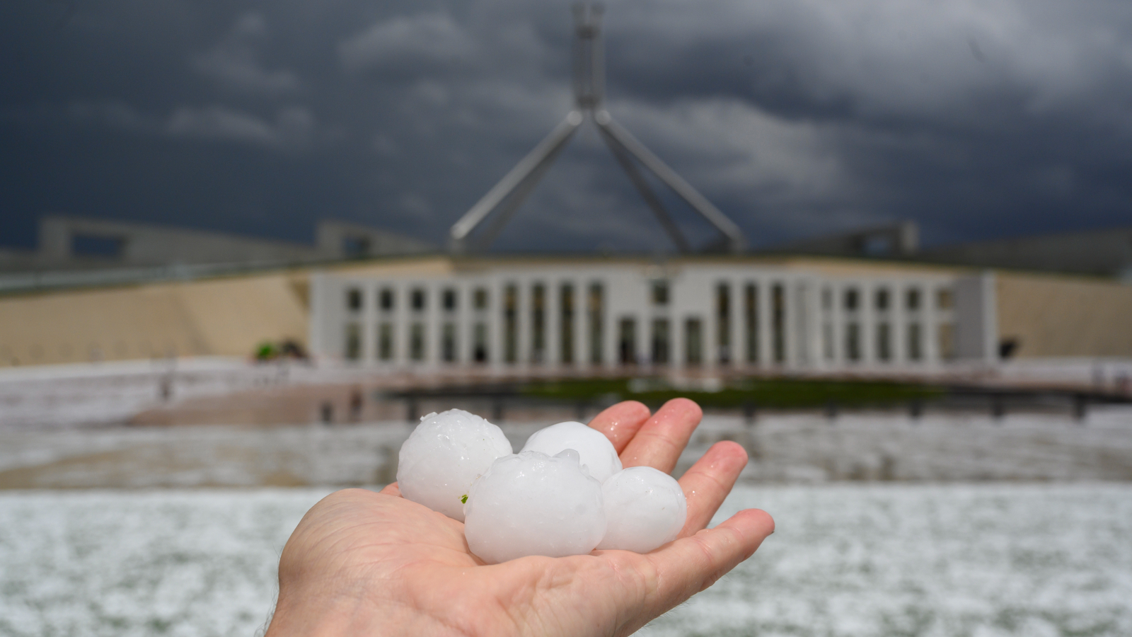 Photo of a person&#039;s hand holding four golf ball-size hailstones