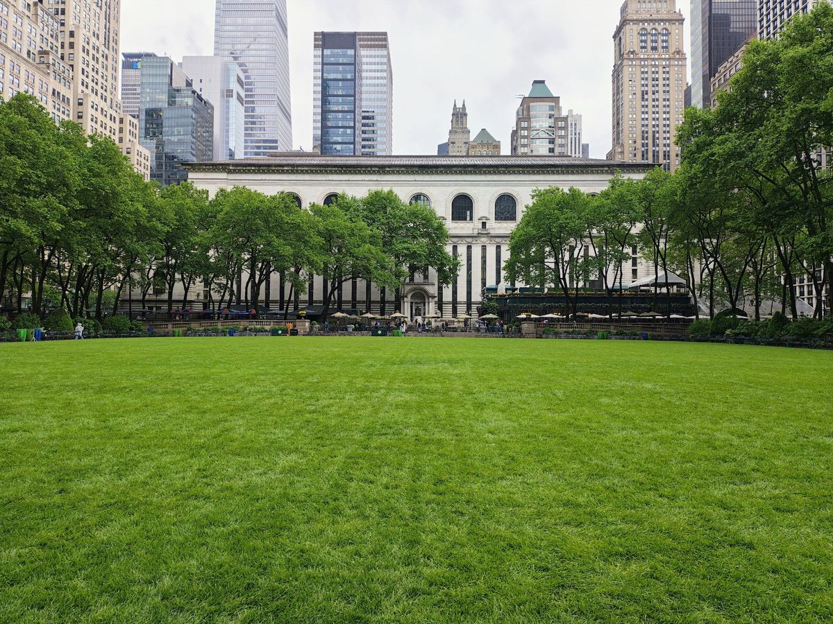 Motorola Razr Plus 2024 camera sample.