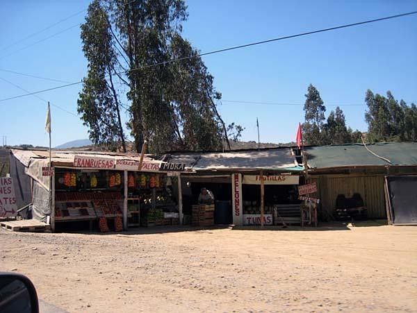 Fruit stands in Chile