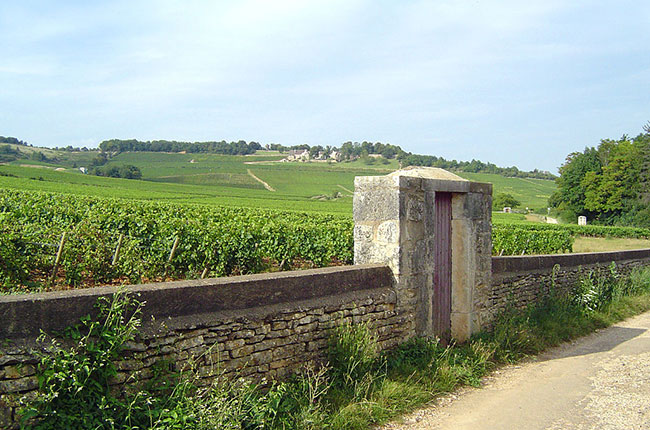 Givry, C&ocirc;te Chalonnaise