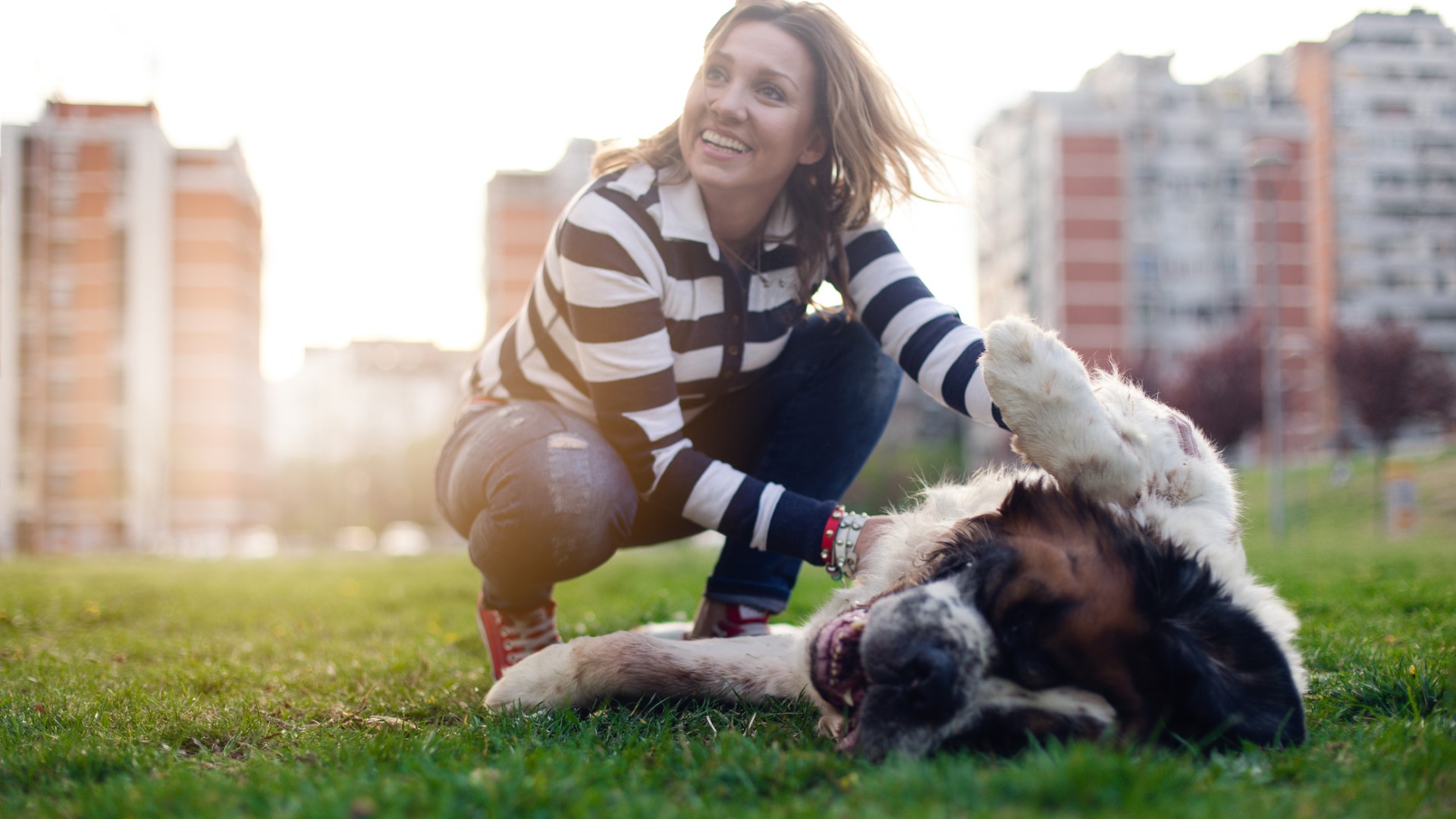 smiling woman pets a Saint Bernard in a park