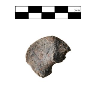 The ilium, a portion of the pelvis, of a near-newborn-age infant in Poggio Civitate, found among discarded animal bones in a 7th-century workshop at Poggio Civitate.