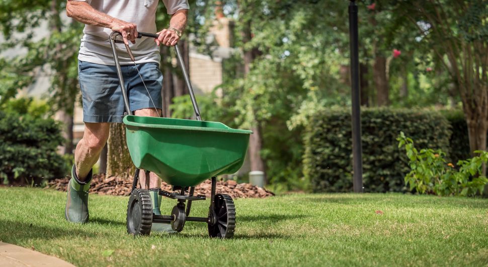 How Often Should You Fertilize Your Lawn And When To Do It | Tom's Guide