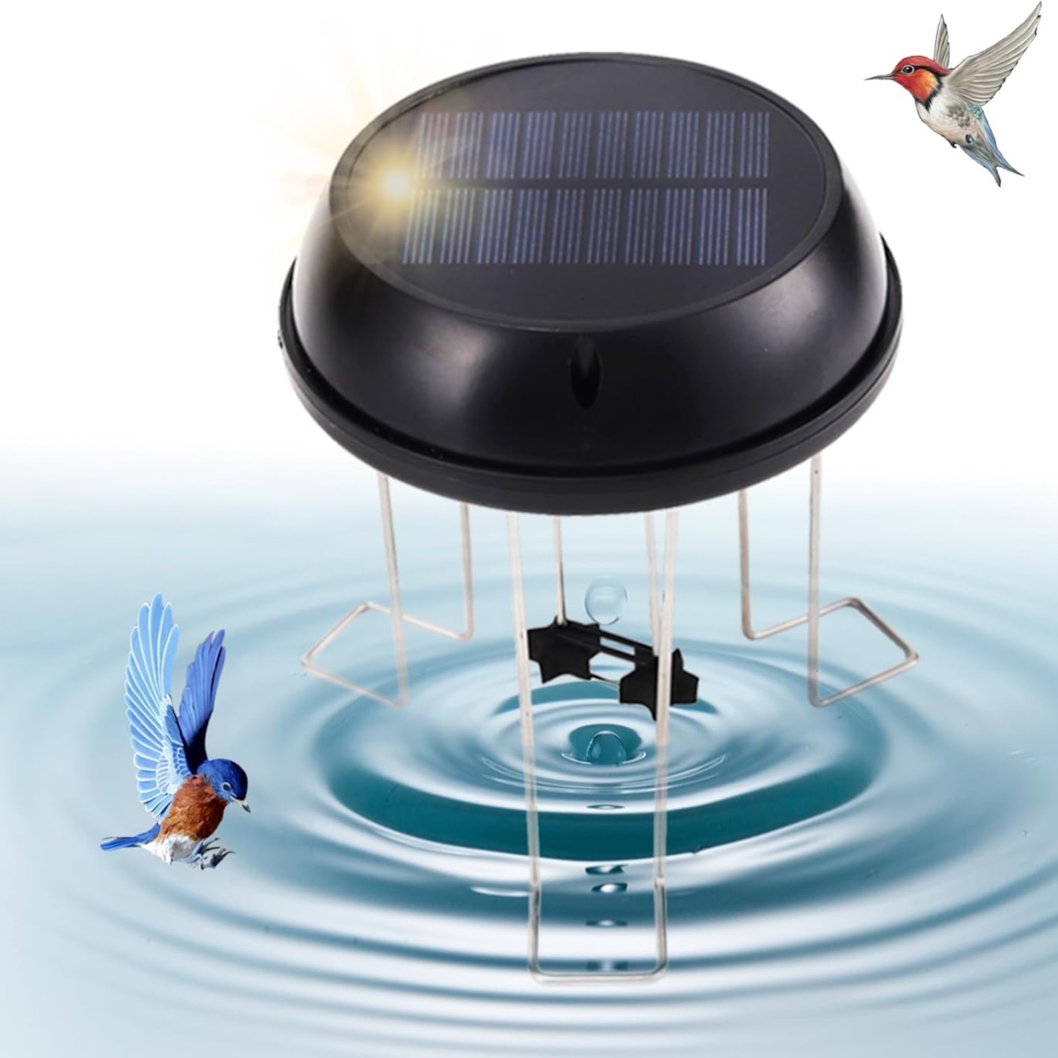 Amazon solar bird bath swing