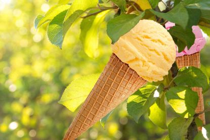 ice cream tree