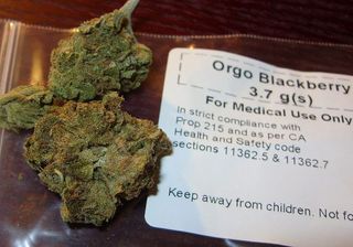 medical marijuana