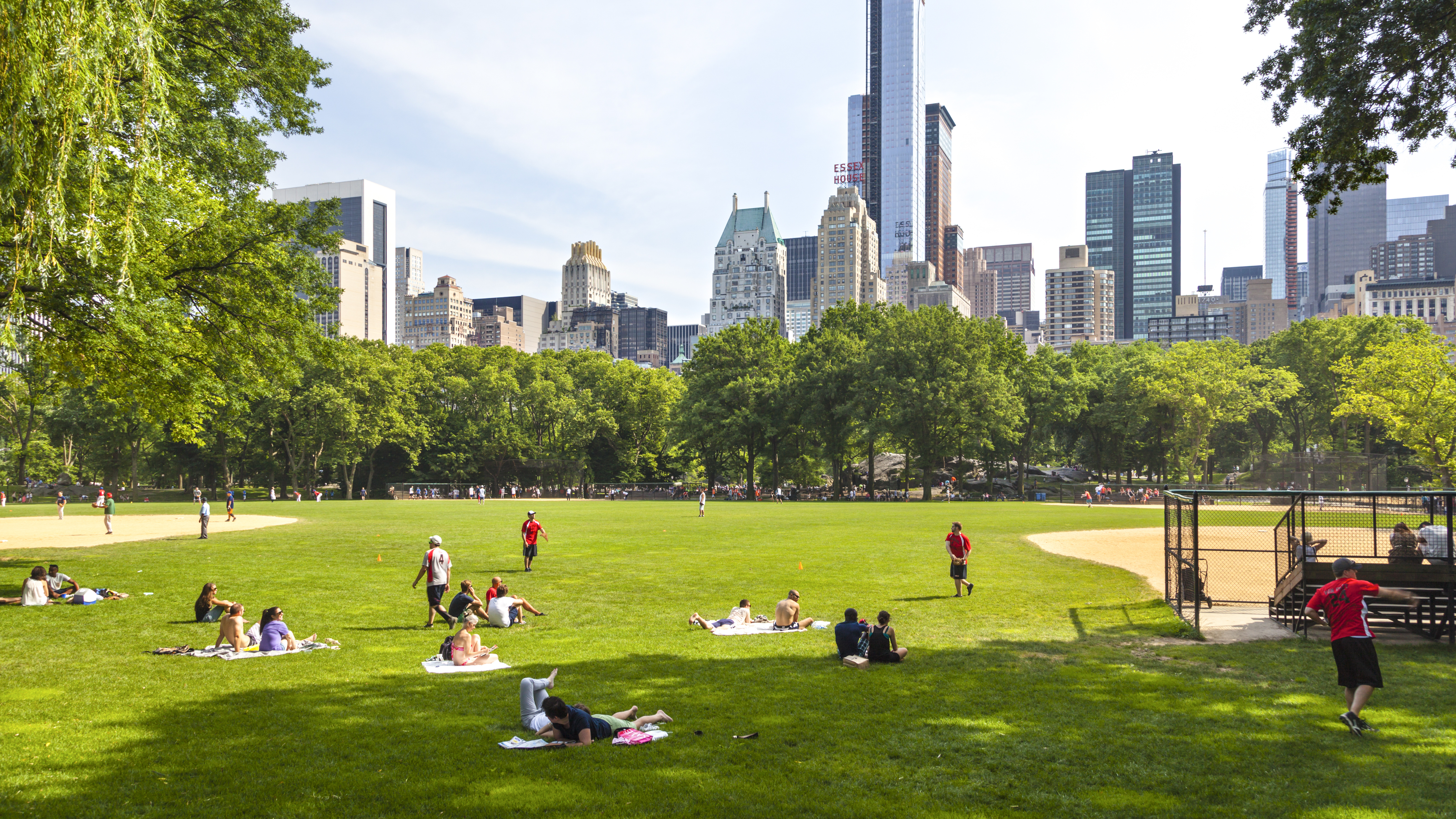 central park in new york