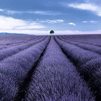 Charlie Waite's 25 top locations for landscape photography