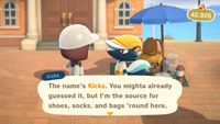 Animal Crossing: New Horizons Kicks