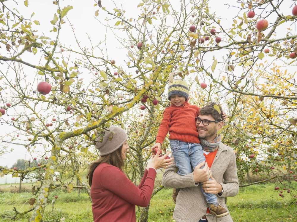 Couple holding a son