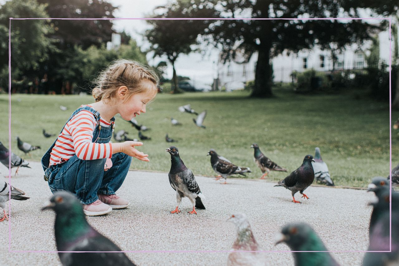 Why do birds sing in the morning?