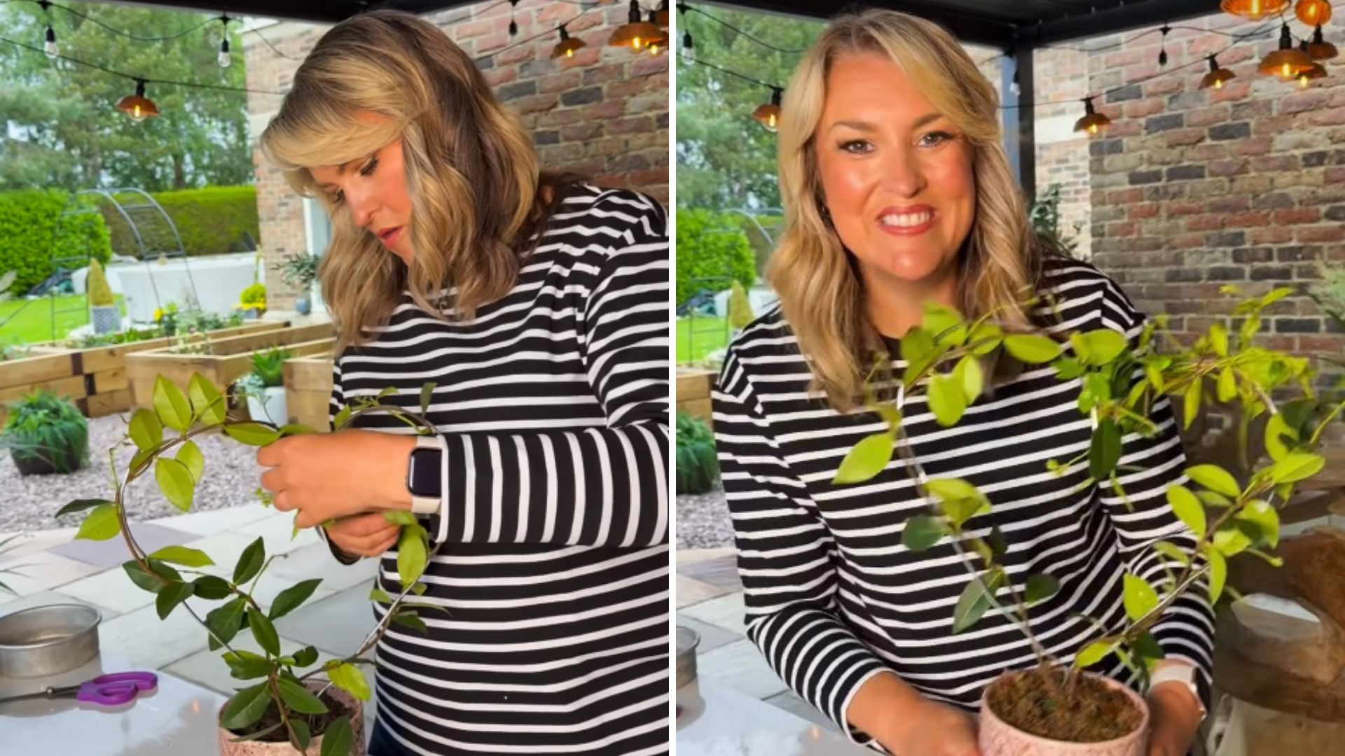 Screengrabs from Sara Davies's plant video on Instagram