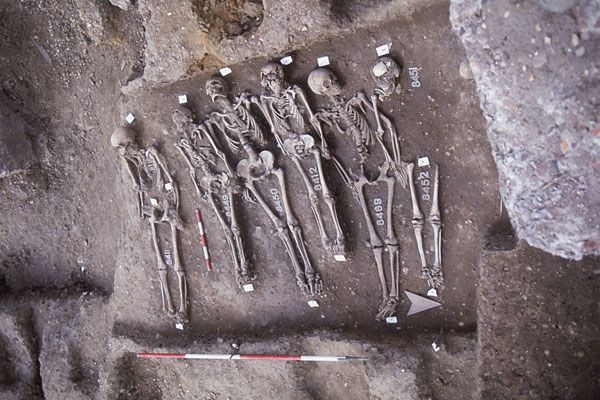 Black Death victims, genome of black death bacteria sequenced