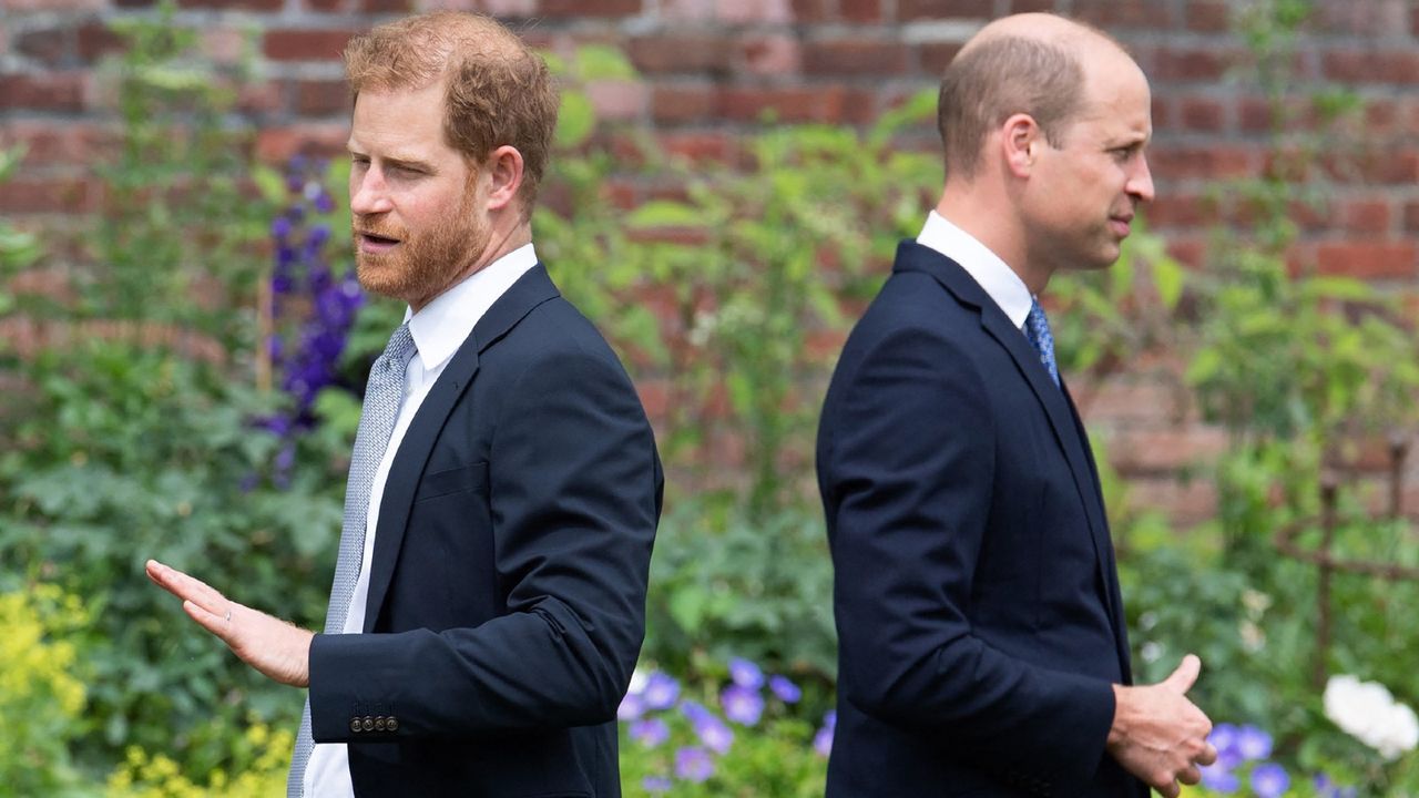 William and Harry