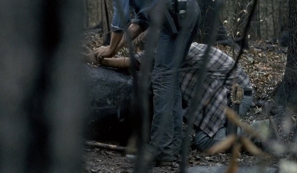 the walking dead
