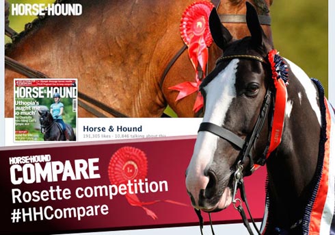 Win with H&amp;H Compare